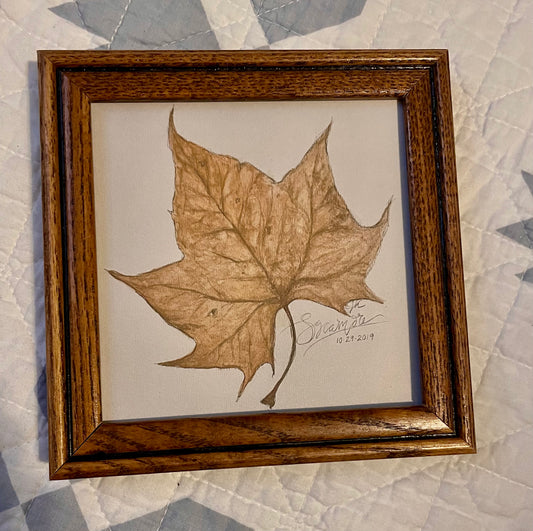 5x5 Sycamore Leaf Fine Art Print Print