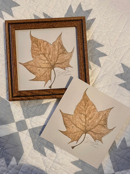 5x5 Sycamore Leaf Fine Art Print Print