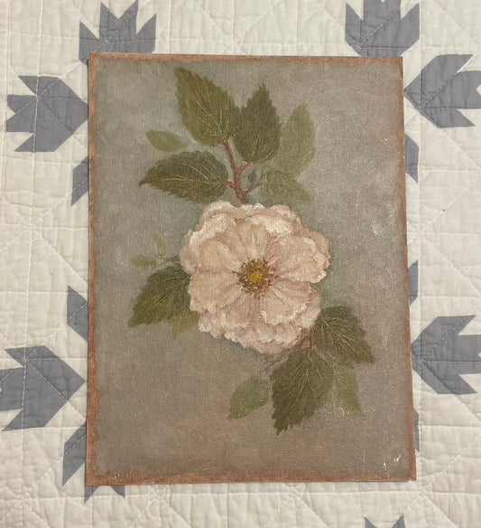 Sweet Summer Blossom, Dog rose