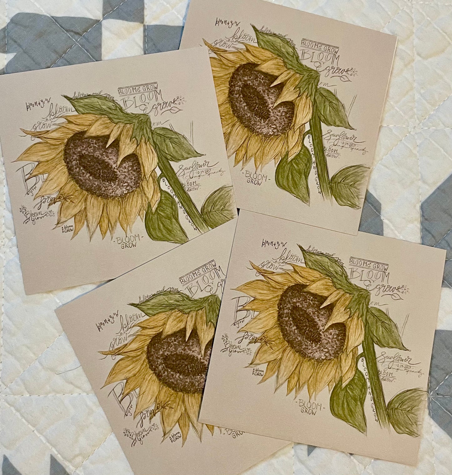 Bloom aka Hand-lettered Sunflower