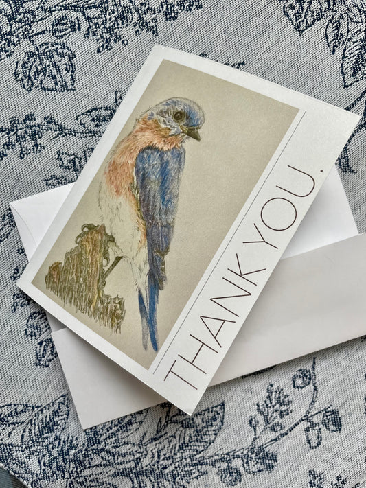 Bluebird, thank you note card