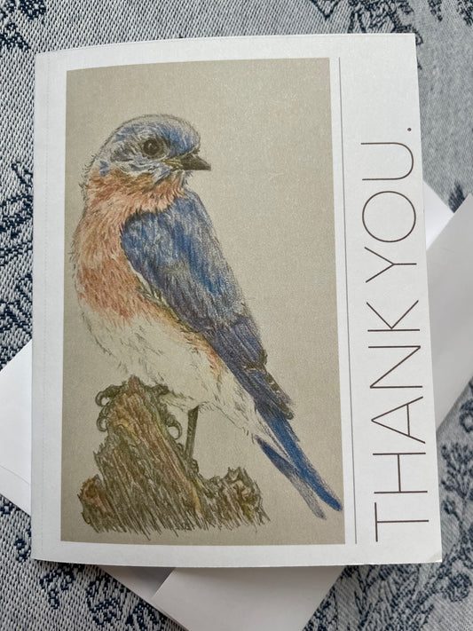 Bluebird, thank you note card