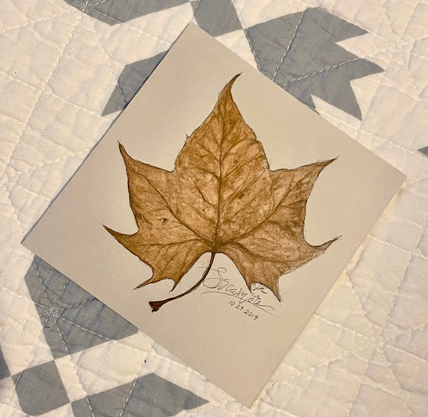 5x5 Sycamore Leaf Fine Art Print Print